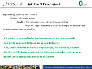 Modo de Produção Biológico de Animais e de Produtos de Origem Animal
Agricultura Biológica/Legislação
Regulamento (CE) nº 889/2008 – Título II
Capítulo 2 – Produção Animal
Secção 4 –Prevenção das doenças e tratamentos veterinários
Artigo 25º - Regras específicas aplicáveis à prevenção das doenças e aos
tratamentos veterinários em apicultura
3. A prática da supressão dos machos só é autorizada como meio de
isolamento contra a infestação por Varroa destructor.
4. Se, apesar de todas as medidas de prevenção, as colónias aparecerem
doentes ou infestadas, devem ser imediatamente tratadas; se necessário,
podem ser colocadas em apiários de isolamento.
 