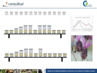 Modo de Produção Biológico de Animais e de Produtos de Origem Animal
 