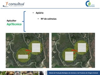 Modo de Produção Biológico de Animais e de Produtos de Origem Animal
Apicultor
ApiTécnico
• Apiário
• Nº de colmeias
 