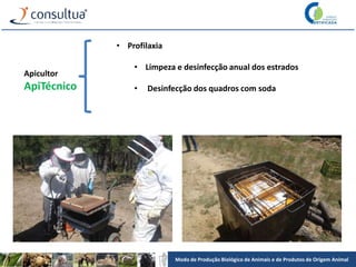 Modo de Produção Biológico de Animais e de Produtos de Origem Animal
Apicultor
ApiTécnico
• Profilaxia
• Limpeza e desinfecção anual dos estrados
• Desinfecção dos quadros com soda
 