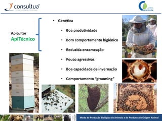 Modo de Produção Biológico de Animais e de Produtos de Origem Animal
Apicultor
ApiTécnico
• Genética
• Boa produtividade
• Bom comportamento higiénico
• Reduzida enxameação
• Pouco agressivas
• Boa capacidade de invernação
• Comportamento “grooming”
 