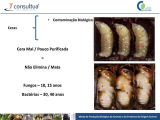 Modo de Produção Biológico de Animais e de Produtos de Origem Animal
Ceras
• Contaminação Biológica
Cera Mal / Pouco Purificada
=
Não Elimina / Mata
Fungos – 10, 15 anos
Bactérias – 30, 40 anos
 