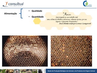 Modo de Produção Biológico de Animais e de Produtos de Origem Animal
Alimentação
• Qualidade
• Quantidade
 