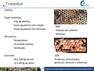 Modo de Produção Biológico de Animais e de Produtos de Origem Animal
Colónia:
Super Individuo
4 kg de abelhas
Favos (quadros) com criação
Favos (quadros) com alimento
Microclima
Temperatura
Humidade relativa
Ventilação
Consome
50 a 120 kg de mel
12 a 40 kg de pólen
80%
Hidratos de carbono
Minerais
20%
Proteínas, aminoácidos,
gorduras, minerais e vitaminas
 