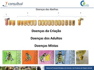 Modo de Produção Biológico de Animais e de Produtos de Origem Animal
Doenças da Criação
Doenças dos Adultos
Doenças Mistas
Doenças das Abelhas
 
