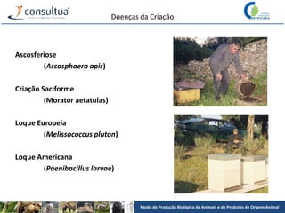 Modo de Produção Biológico de Animais e de Produtos de Origem Animal
Doenças da Criação
Ascosferiose
(Ascosphaera apis)
Criação Saciforme
(Morator aetatulas)
Loque Europeia
(Melissococcus pluton)
Loque Americana
(Paenibacillus larvae)
 