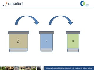 Modo de Produção Biológico de Animais e de Produtos de Origem Animal
C
LA
N N
 