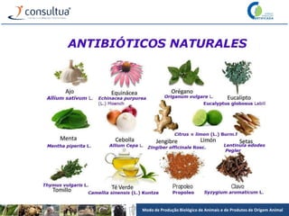 Modo de Produção Biológico de Animais e de Produtos de Origem Animal
 