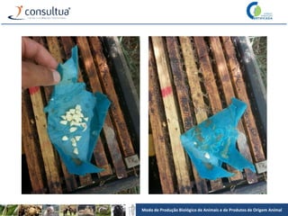 Modo de Produção Biológico de Animais e de Produtos de Origem Animal
 
