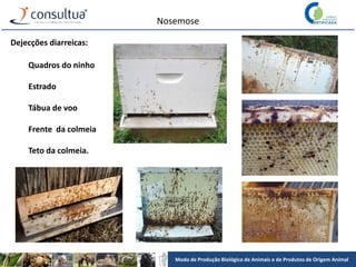 Modo de Produção Biológico de Animais e de Produtos de Origem Animal
Nosemose
Dejecções diarreicas:
Quadros do ninho
Estrado
Tábua de voo
Frente da colmeia
Teto da colmeia.
 