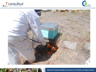 Modo de Produção Biológico de Animais e de Produtos de Origem Animal
 