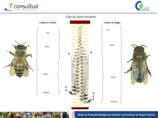 Modo de Produção Biológico de Animais e de Produtos de Origem Animal
 