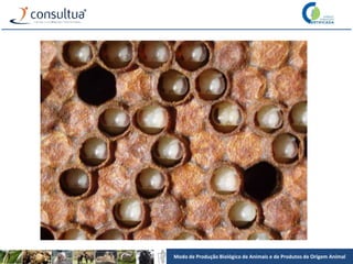 Modo de Produção Biológico de Animais e de Produtos de Origem Animal
 
