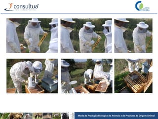 Modo de Produção Biológico de Animais e de Produtos de Origem Animal
 