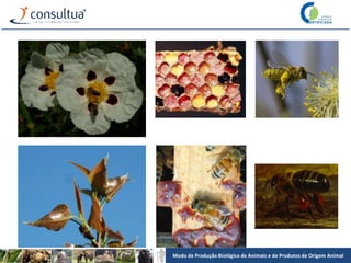 Modo de Produção Biológico de Animais e de Produtos de Origem Animal
 