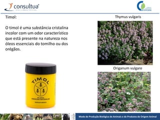 Modo de Produção Biológico de Animais e de Produtos de Origem Animal
Timol:
O timol é uma substância cristalina
incolor com um odor característico
que está presente na natureza nos
óleos essenciais do tomilho ou dos
orégãos.
Thymus vulgaris
Origanum vulgare
 