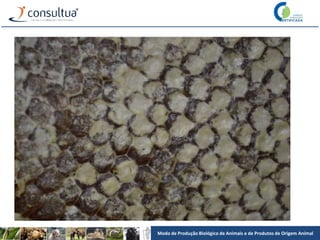 Modo de Produção Biológico de Animais e de Produtos de Origem Animal
 
