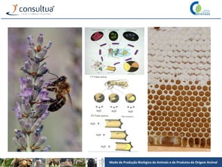Modo de Produção Biológico de Animais e de Produtos de Origem Animal
 
