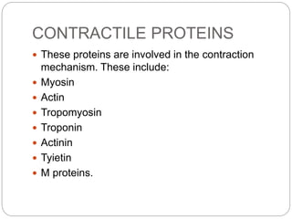 CONTRACTILE PROTEINS
 These proteins are involved in the contraction
mechanism. These include:
 Myosin
 Actin
 Tropomyosin
 Troponin
 Actinin
 Tyietin
 M proteins.
 