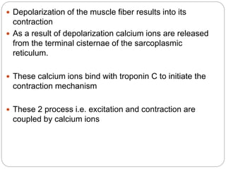 Depolarization of the muscle fiber results into its
contraction
 As a result of depolarization calcium ions are released
from the terminal cisternae of the sarcoplasmic
reticulum.
 These calcium ions bind with troponin C to initiate the
contraction mechanism
 These 2 process i.e. excitation and contraction are
coupled by calcium ions
 