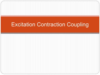 Excitation Contraction Coupling
 