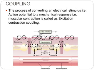 COUPLING
 The process of converting an electrical stimulus i.e.
Action potential to a mechanical response i.e.
muscular contraction is called as Excitation
contraction coupling.
 