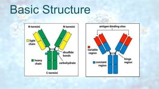 IMMUNOGLOBULINS | PPTX