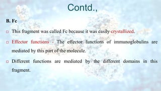 Contd.,
B. Fc
 This fragment was called Fc because it was easily crystallized.
 Effector functions - The effector functions of immunoglobulins are
mediated by this part of the molecule.
 Different functions are mediated by the different domains in this
fragment.
 
