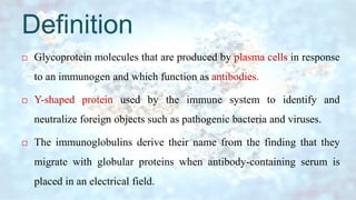 Definition
 Glycoprotein molecules that are produced by plasma cells in response
to an immunogen and which function as antibodies.
 Y-shaped protein used by the immune system to identify and
neutralize foreign objects such as pathogenic bacteria and viruses.
 The immunoglobulins derive their name from the finding that they
migrate with globular proteins when antibody-containing serum is
placed in an electrical field.
 