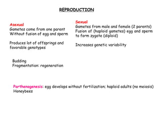 7. endocrinology and reproduction | PPT