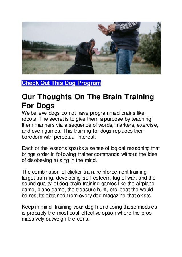 Brain Training For Dog Review Is It Worth It