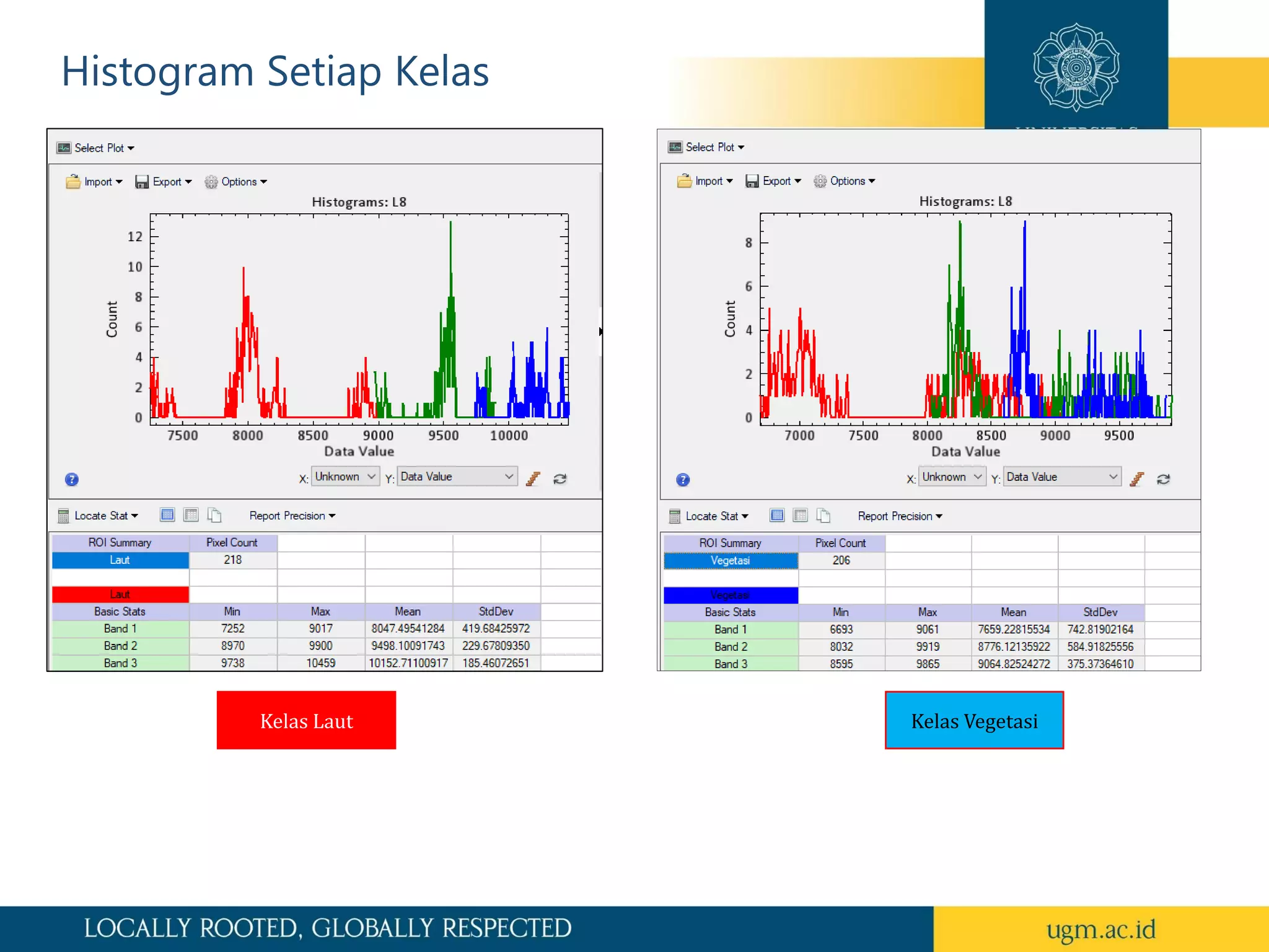 Histogram Setiap Kelas
Kelas Vegetasi
Kelas Laut
 