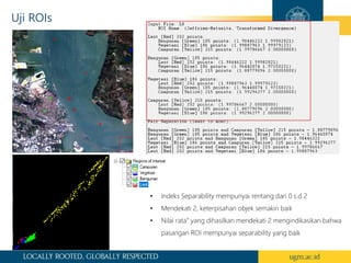 Decision Tree Classification in Remote Sensing | PDF