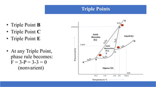 Triplepoint Problem Phase Equilibria | PDF