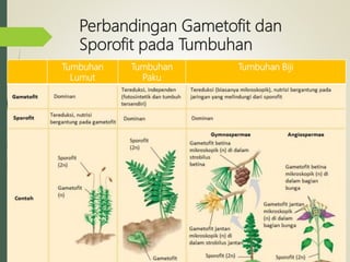 Perbandingan Gametofit dan
Sporofit pada Tumbuhan
Tumbuhan
Lumut
Tumbuhan
Paku
Tumbuhan Biji
 