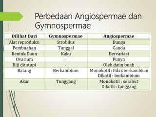 Perbedaan Angiospermae dan
Gymnospermae
 