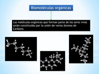 Biomoléculas orgánicas
Las moléculas orgánicas que forman parte de los seres vivos
están constituidas por la unión de varios átomos de
Carbono.
 