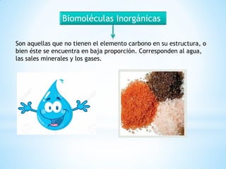 Son aquellas que no tienen el elemento carbono en su estructura, o
bien éste se encuentra en baja proporción. Corresponden al agua,
las sales minerales y los gases.
Biomoléculas Inorgánicas
 