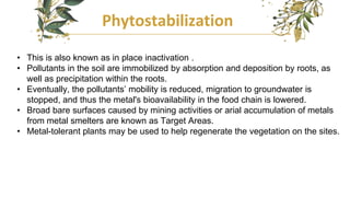 Phytostabilization
• This is also known as in place inactivation .
• Pollutants in the soil are immobilized by absorption and deposition by roots, as
well as precipitation within the roots.
• Eventually, the pollutants’ mobility is reduced, migration to groundwater is
stopped, and thus the metal's bioavailability in the food chain is lowered.
• Broad bare surfaces caused by mining activities or arial accumulation of metals
from metal smelters are known as Target Areas.
• Metal-tolerant plants may be used to help regenerate the vegetation on the sites.
 