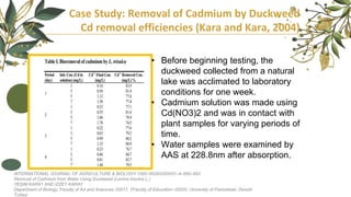 Case Study: Removal of Cadmium by Duckweed
Cd removal efficiencies (Kara and Kara, 2004)
• Before beginning testing, the
duckweed collected from a natural
lake was acclimated to laboratory
conditions for one week.
• Cadmium solution was made using
Cd(NO3)2 and was in contact with
plant samples for varying periods of
time.
• Water samples were examined by
AAS at 228.8nm after absorption.
INTERNATIONAL JOURNAL OF AGRICULTURE & BIOLOGY 1560–8530/2005/07–4–660–662
Removal of Cadmium from Water Using Duckweed (Lemna trisulca L.)
YEŞIM KARA1 AND IZZET KARA†
Department of Biology, Faculty of Art and Sciences–20017, †Faculty of Education–20020, University of Pamukkale, Denizli-
Turkey
 