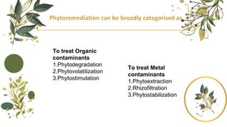 Phytoremediation can be broadly categorised as
To treat Organic
contaminants
1.Phytodegradation
2.Phytovolatilization
3.Phytostimulation
To treat Metal
contaminants
1.Phytoextraction
2.Rhizofiltration
3.Phytostabilization
 