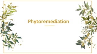 Phytoremediation
 