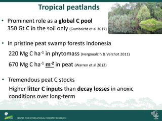 Tropical peatlands
• Prominent role as a global C pool
350 Gt C in the soil only (Gumbricht et al 2017)
• Tremendous peat ...