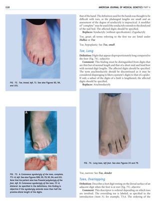 7. Hands and Feet.pdf