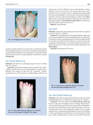 7. Hands and Feet.pdf