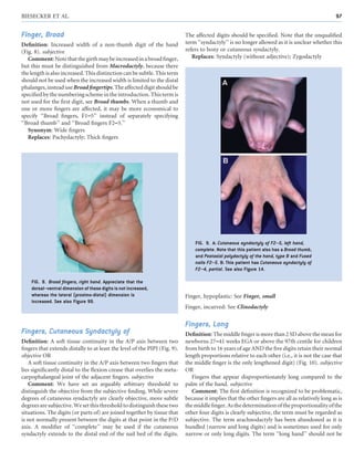 7. Hands and Feet.pdf