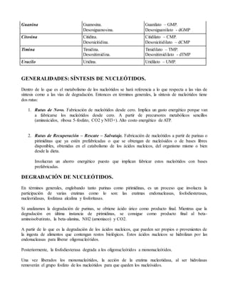 Guanina Guanosina.
Desoxiguanosina.
Guanilato – GMP.
Desoxiguanilato - dGMP
Citosina Citidina.
Desoxicitidina.
Citidilato – CMP.
Desoxicitidilato – dCMP
Timina Timidina.
Desoxitimidina.
Timidilato – TMP.
Desoxitimidilato - dTMP
Uracilo Uridina. Uridilato – UMP.
GENERALIDADES: SÍNTESIS DE NUCLEÓTIDOS.
Dentro de lo que es el metabolismo de los nucleótidos se hará referencia a lo que respecta a las vías de
síntesis como a las vías de degradación. Entonces en términos generales, la síntesis de nucleótidos tiene
dos rutas:
1. Rutas de Novo. Fabricación de nucleótidos desde cero. Implica un gasto energético porque van
a fabricarse los nucleótidos desde cero. A partir de precursores metabólicos sencillos
(aminoácidos, ribosa 5-fosfato, CO2 y NH3+). Alto costo energético de ATP.
2. Rutas de Recuperación – Rescate – Salvataje. Fabricación de nucleótidos a partir de purinas o
pirimidinas que ya estén prefabricadas o que se obtengan de nucleósidos o de bases libres
disponibles, obtenidas en el catabolismo de los ácidos nucleicos, del organismo mismo o bien
desde la dieta.
Involucran un ahorro energético puesto que implican fabricar estos nucleótidos con bases
prefabricadas.
DEGRADACIÓN DE NUCLEÓTIDOS.
En términos generales, englobando tanto purinas como pirimidinas, es un proceso que involucra la
participación de varias enzimas como lo son: las enzimas endonucleasas, fosfodiesterasas,
nucleotidasas, fosfatasa alcalina y fosforitasas.
Si analizamos la degradación de purinas, se obtiene ácido úrico como producto final. Mientras que la
degradación en última instancia de pirimidinas, se consigue como producto final al beta-
aminoisobutirato, la beta-alanina, NH2 (amoniaco) y CO2.
A partir de lo que es la degradación de los ácidos nucleicos, que pueden ser propios o provenientes de
la ingesta de alimentos que contengan restos biológicos. Estos ácidos nucleicos se hidrolizan por las
endonucleasas para liberar oligonucleótidos.
Posteriormente, la fosfodiesterasa degrada a los oligonucleótidos a mononucleótidos.
Una vez liberados los mononucleótidos, la acción de la enzima nucleotidasa, al ser hidrolasas
removerán el grupo fosfato de los nucleótidos para que queden los nucleósidos.
 