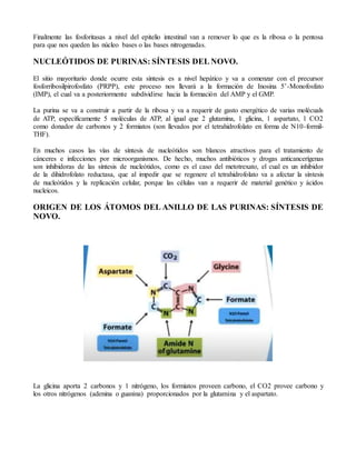 Finalmente las fosforitasas a nivel del epitelio intestinal van a remover lo que es la ribosa o la pentosa
para que nos queden las núcleo bases o las bases nitrogenadas.
NUCLEÓTIDOS DE PURINAS: SÍNTESIS DEL NOVO.
El sitio mayoritario donde ocurre esta síntesis es a nivel hepático y va a comenzar con el precursor
fosforribosilpirofosfato (PRPP), este proceso nos llevará a la formación de Inosina 5’-Monofosfato
(IMP), el cual va a posteriormente subdividirse hacia la formación del AMP y el GMP.
La purina se va a construir a partir de la ribosa y va a requerir de gasto energético de varias molécuals
de ATP, específicamente 5 moléculas de ATP, al igual que 2 glutamina, 1 glicina, 1 aspartato, 1 CO2
como donador de carbonos y 2 formiatos (son llevados por el tetrahidrofolato en forma de N10-formil-
THF).
En muchos casos las vías de síntesis de nucleótidos son blancos atractivos para el tratamiento de
cánceres e infecciones por microorganismos. De hecho, muchos antibióticos y drogas anticancerígenas
son inhibidoras de las síntesis de nucleótidos, como es el caso del metotrexato, el cual es un inhibidor
de la dihidrofolato reductasa, que al impedir que se regenere el tetrahidrofolato va a afectar la síntesis
de nucleótidos y la replicación celular, porque las células van a requerir de material genético y ácidos
nucleicos.
ORIGEN DE LOS ÁTOMOS DEL ANILLO DE LAS PURINAS: SÍNTESIS DE
NOVO.
La glicina aporta 2 carbonos y 1 nitrógeno, los formiatos proveen carbono, el CO2 provee carbono y
los otros nitrógenos (adenina o guanina) proporcionados por la glutamina y el aspartato.
 