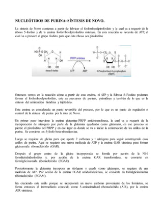 NUCLEÓTIDOS DE PURINA: SÍNTESIS DE NOVO.
La síntesis de Novo comienza a partir de fabricar el fosforribosilpirofosfato y la cual va a requerir de la
ribosa 5-fosfato y de la enzima fosforribosilpirofosfato sintetasa. En esta reacción se necesita de ATP, el
cual va a proveer el grupo fosfato para que esta ribosa sea pirofosfato
Entonces vemos en la reacción cómo a partir de esta enzima, el ATP y la Ribosa 5-Fosfato podemos
formar el fosforribosilpirofosfato, este es precursor de purinas, pirimidinas y también de lo que es la
síntesis del aminoácido histidina y triptófano.
Esta enzima es considerada un punto reversible del proceso, por lo que es un punto de regulación o
control de la síntesis de purina por la ruta de Novo.
En primer paso interviene la enzima glutamina-PRPP amidotransferasa, la cual va a requerir de la
incorporación de nitrógeno por parte de la glutamina quedando como glutamato, en ese proceso se
pierde el pirofosfato del PRPP y en ese lugar es donde se va a iniciar la construcción de los anillos de la
purina. Se convierte en 5-fosfo-beta-ribosilamina.
Luego se requiere de glicina para que aporte 2 carbonos y 1 nitrógeno para seguir construyendo esos
anillos de purina. Aquí se requiere una nueva molécula de ATP y la enzima GAR sintetasa para formar
glicinamida ribonucleótido (GAR).
Después el grupo amino de la glicina incoprporada se formila por acción de la N10
formiltetrahidrofosfato y, por acción de la enzima GAR transformilasa, se convierte en
formilglicinamida ribonucleótido (FGAR).
Posteriormente la glutamina incorpora un nitrógeno y queda como glutamato, se requiere de una
molécula de ATP. Por acción de la enzima FGAR amidotransferasa, se convierte en formilglicinamidina
ribonucleótido (FGAM).
Irá creciendo este anillo porque se incorporará un nuevo carbono proveniente de los formiatos, se
forma entonces el intermediario conocido como 5-aminoimidazol ribonucleótido (AIR), por la enzima
AIR sintetasa.
 