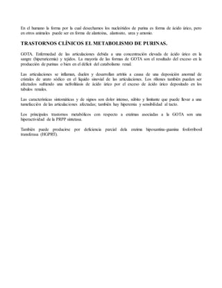En el humano la forma por la cual desechamos los nucleótidos de purina es forma de ácido úrico, pero
en otros animales puede ser en forma de alantoina, alantoato, urea y amonio.
TRASTORNOS CLÍNICOS EL METABOLISMO DE PURINAS.
GOTA. Enfermedad de las articulaciones debida a una concentración elevada de ácido úrico en la
sangre (hiperuricemia) y tejidos. La mayoría de las formas de GOTA son el resultado del exceso en la
producción de purinas o bien en el déficit del catabolismo renal.
Las articulaciones se inflaman, duelen y desarrollan artritis a causa de una deposición anormal de
cristales de urato sódico en el liquido sinovial de las articulaciones. Los riñones también pueden ser
afectados sufriendo una nefrolitiasis de ácido úrico por el exceso de ácido úrico depositado en los
tubulos renales.
Las características sintomáticas y de signos son dolor intenso, súbito y limitante que puede llevar a una
tumefacción de las articulaciones afectadas; también hay hiperemia y sensibilidad al tacto.
Los principales trastornos metabólicos con respecto a enzimas asociadas a la GOTA son una
hiperactividad de la PRPP sintetasa.
También puede producirse por deficiencia parcial dela enzima hipoxantina-guanina fosforribosil
transferasa (HGPRT).
 